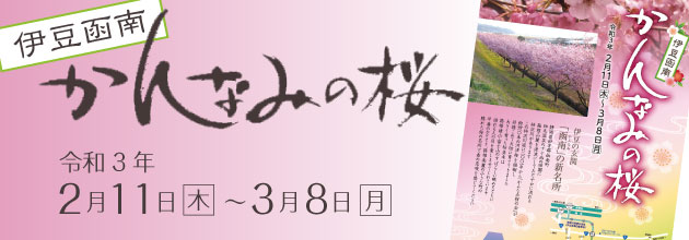 かんなみの桜